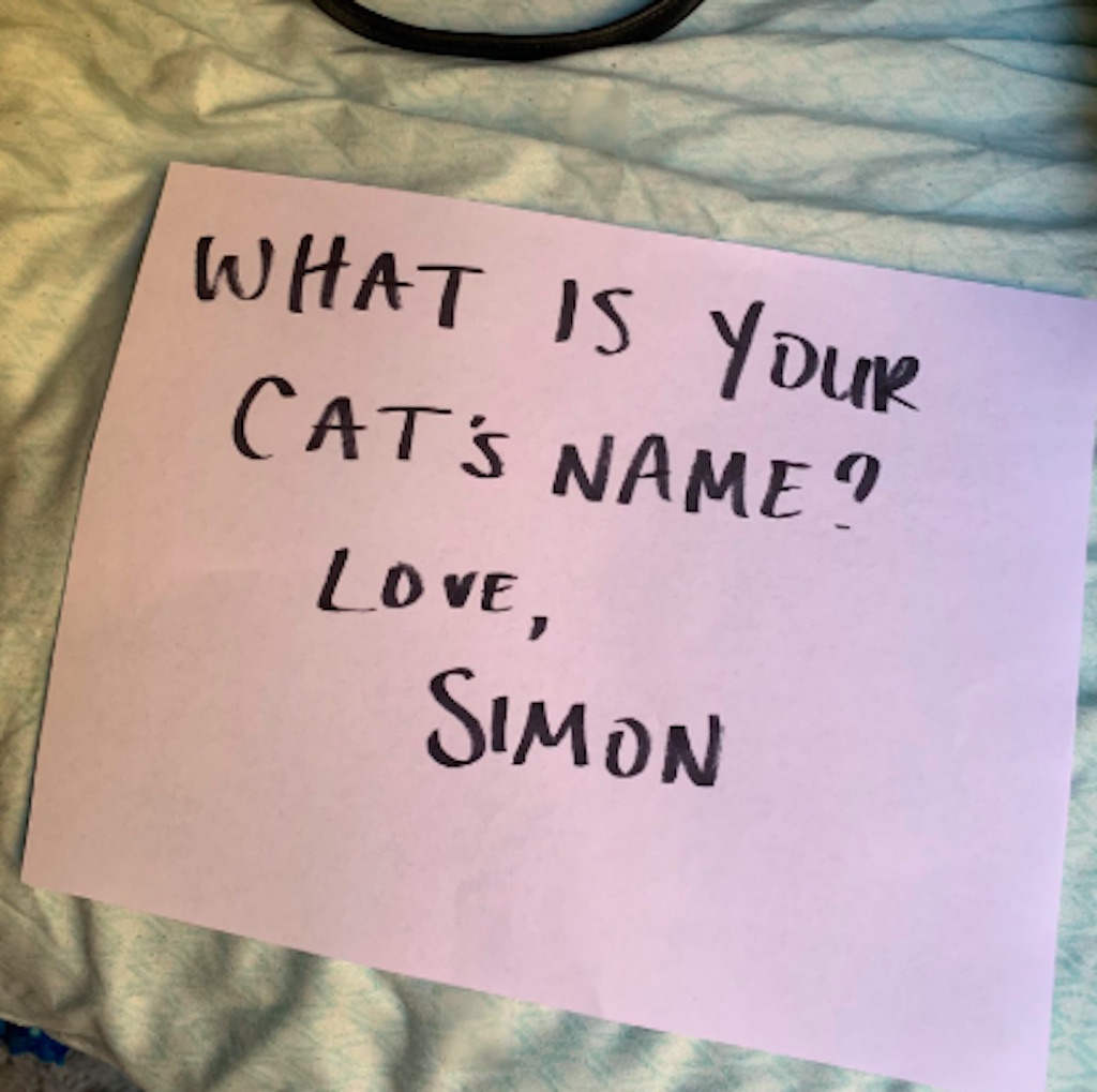 simon cat love story