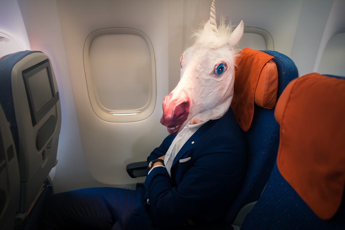 Person Wearing a Unicorn Mask on an Airplane Funny Stock Photos