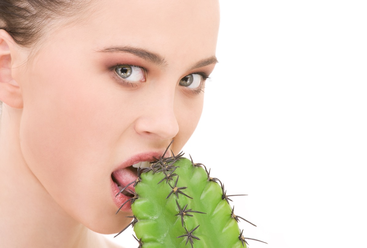 Woman Licking a Cactus Funny Stock Photos