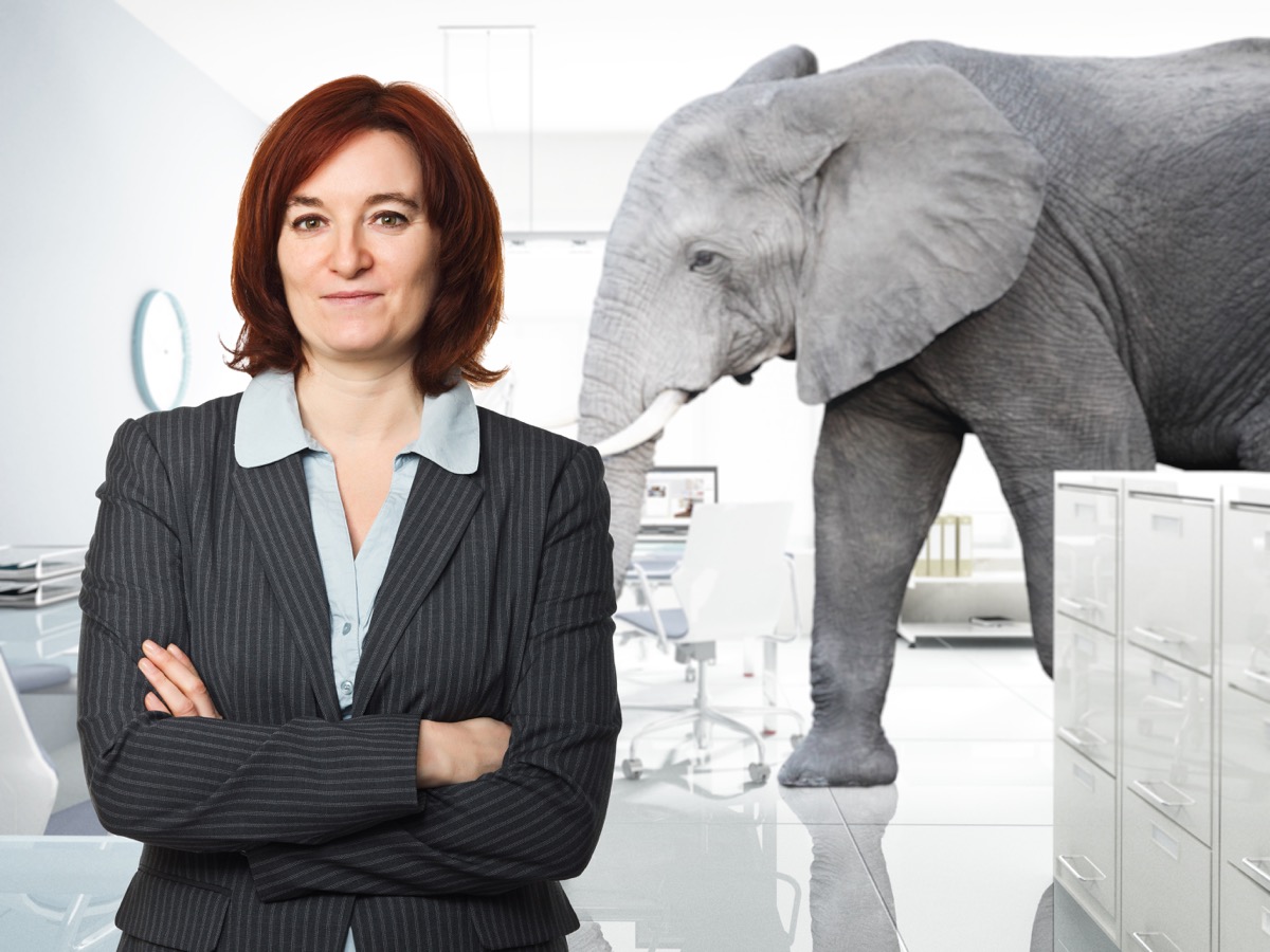 Woman Posing For a Photo With an Elephant in the Background Funny Stock Photos