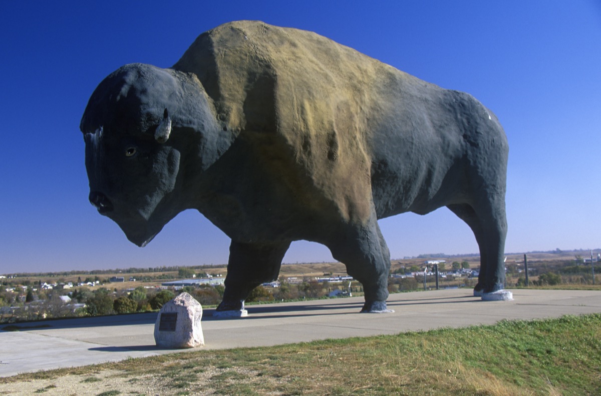 worlds largest buffalo national buffalo museum, jamestown, north dakota, iconic state photos