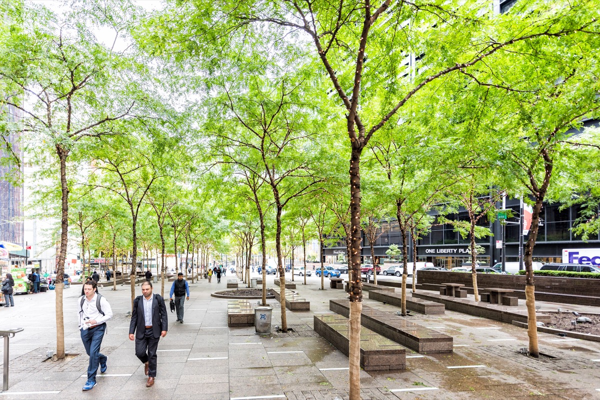 New York City Zuccotti Park Privately Owned Landmarks