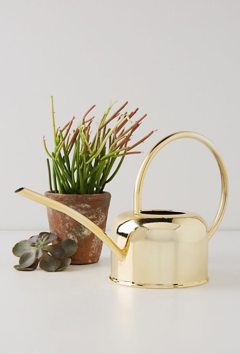 Gold watering can from Anthropologie, next to plant, great mother's day gift