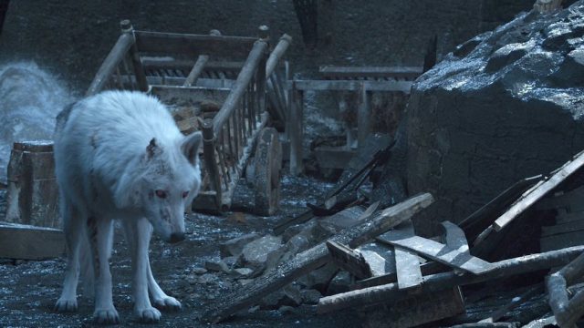fans are angry at Jon Snow for not saying goodbye to Ghost on Game of Thrones