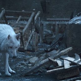 fans are angry at Jon Snow for not saying goodbye to Ghost on Game of Thrones