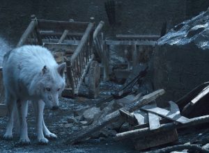 fans are angry at Jon Snow for not saying goodbye to Ghost on Game of Thrones