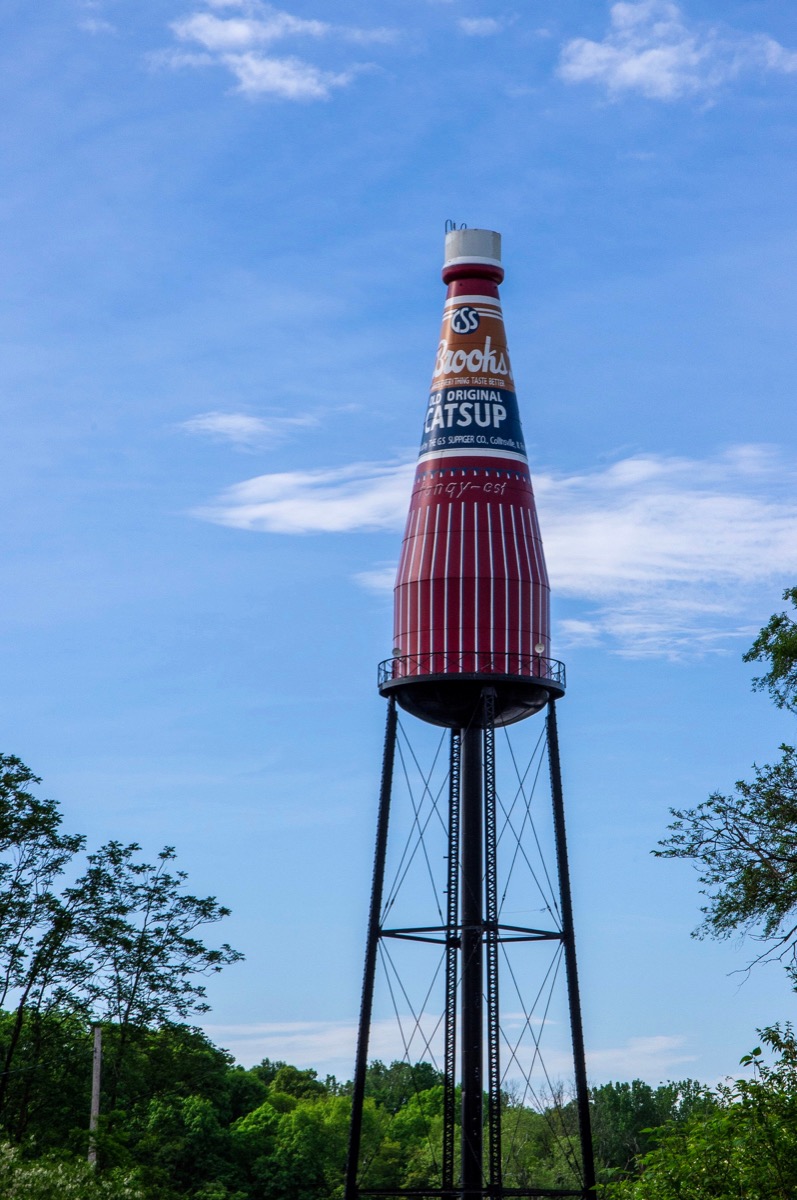 large brooks catsup bottle water tower in illinois, weird state landmarks