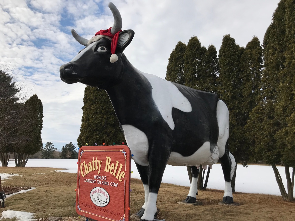 chatty belle talking cow, neillsville wisconsin, weird state landmarks