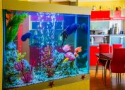 fish tank, 80s interior design