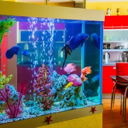 fish tank, 80s interior design