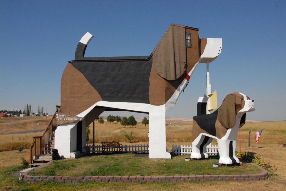 idaho cottonwood beagle dog park, weird state landmarks