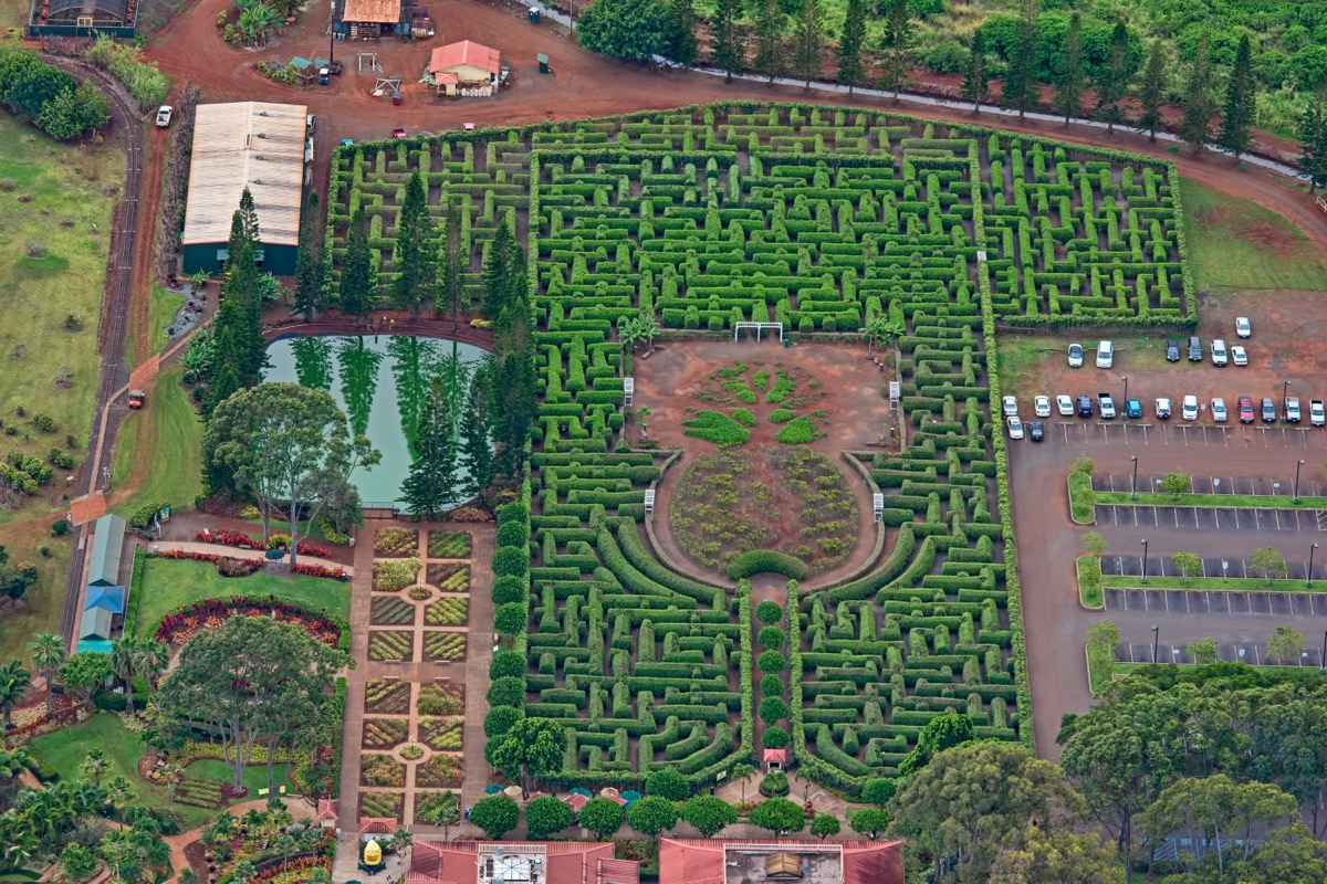 largest maze in hawaii, weird state landmarks