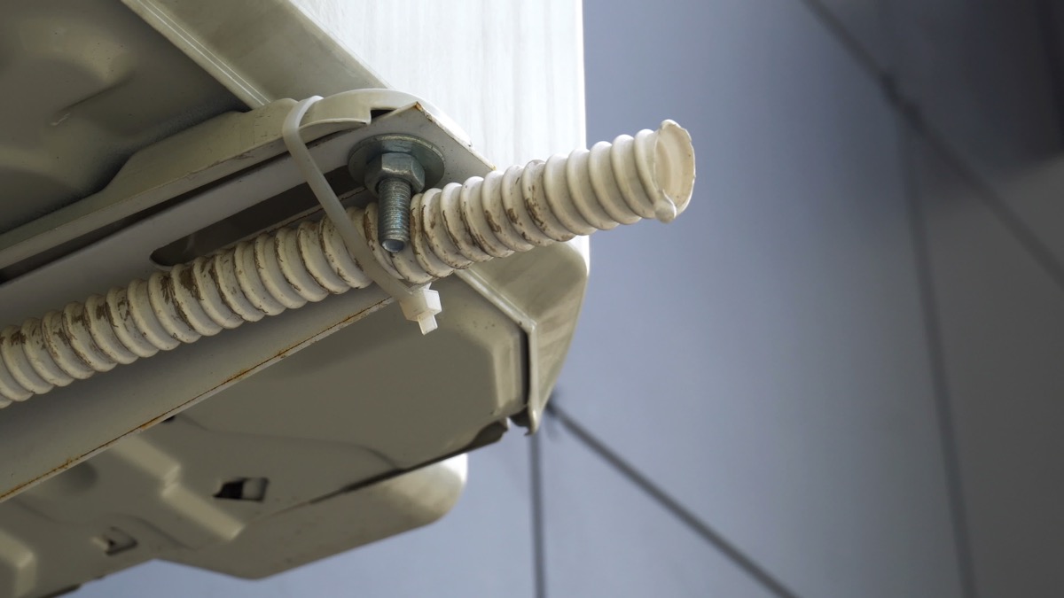 This Is How to Get Rid of Mice, According to Exterminators