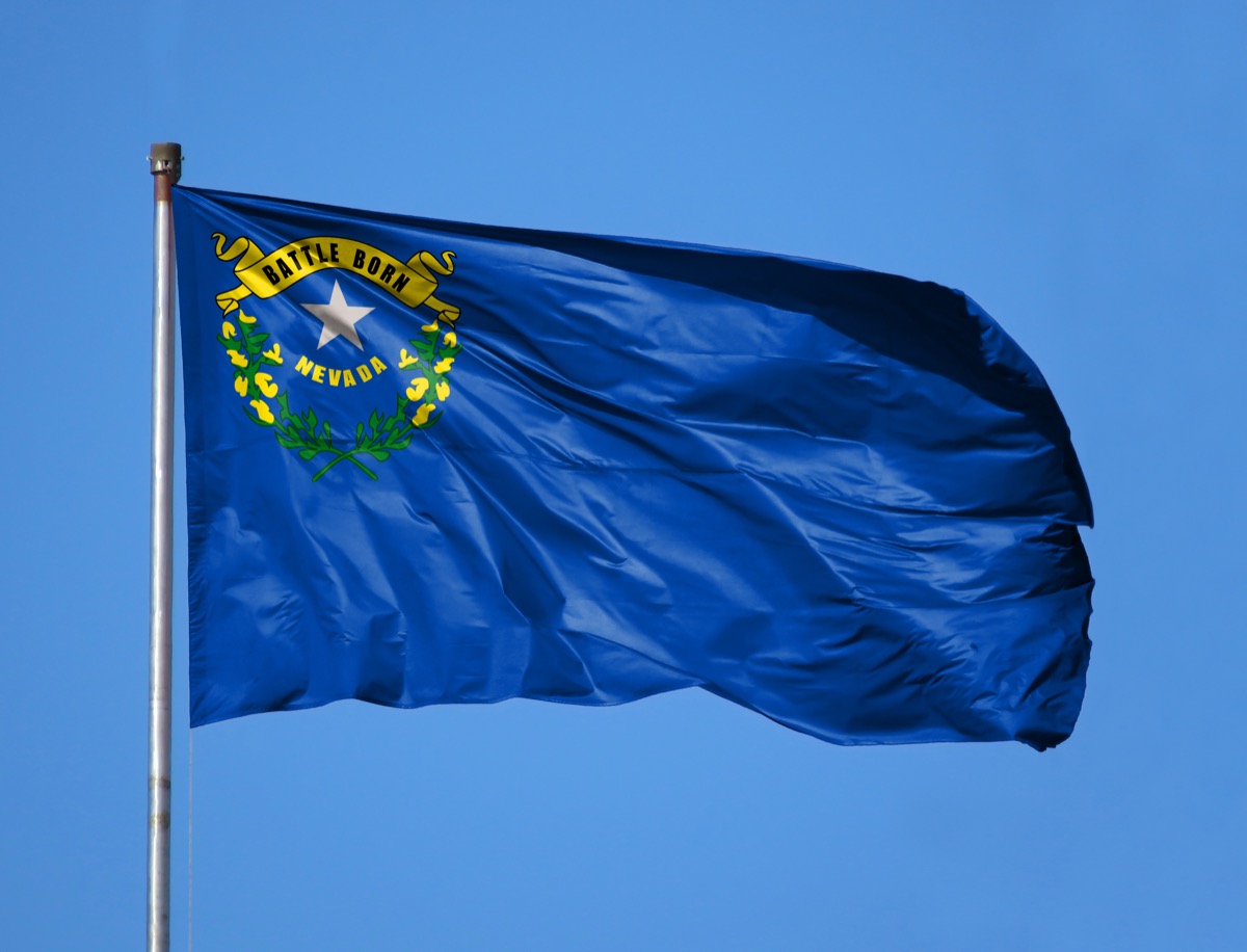 nevada state flag facts