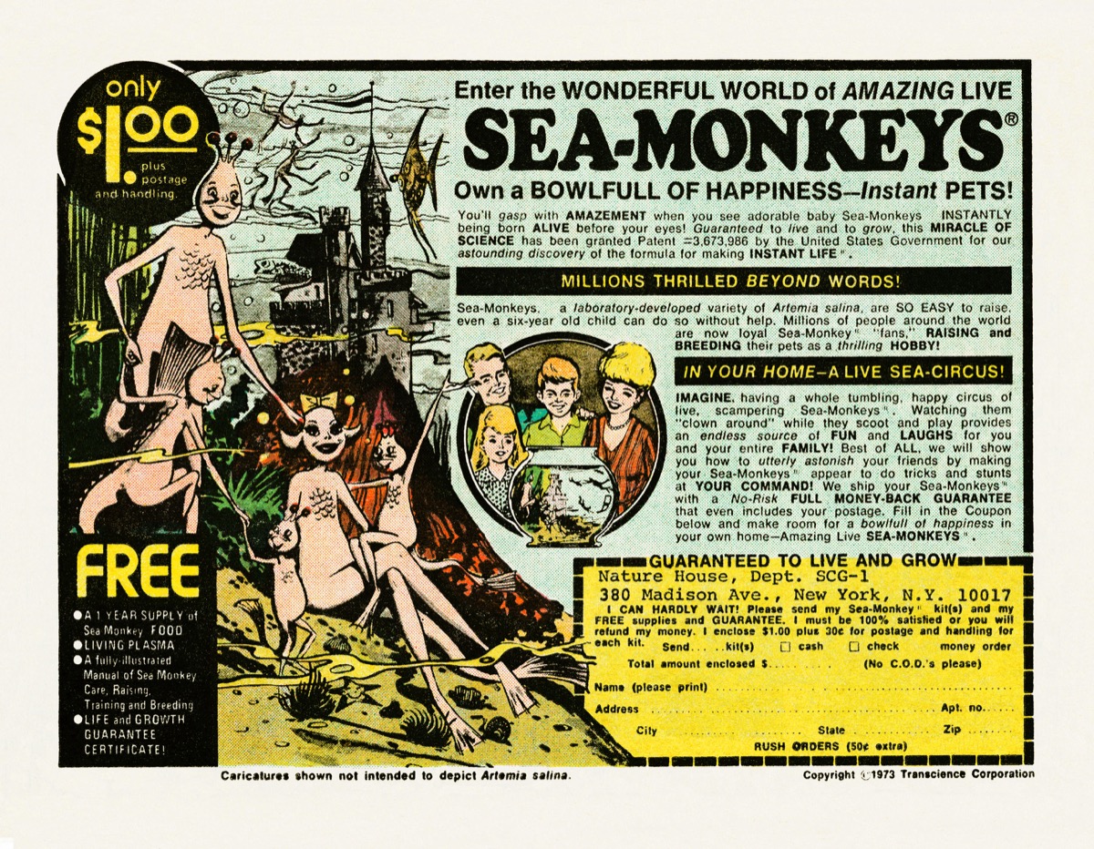 1970s advertisement for sea monkeys, 1970s nsotalgia