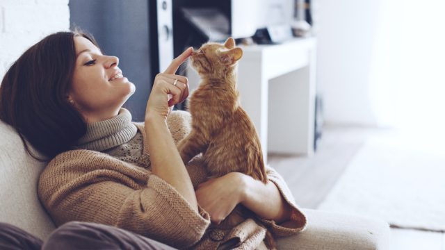 cat owners prefer company of cats to humans.