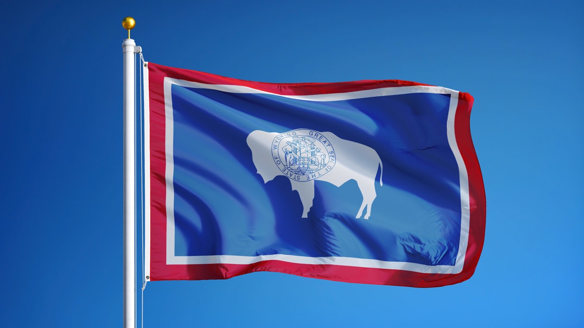 wyoming state flag facts