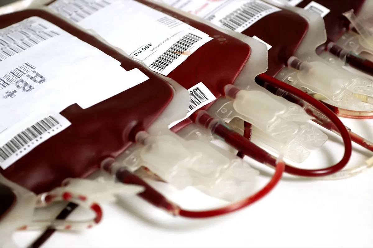 Bags of AB+ Blood Facts About Blood Type