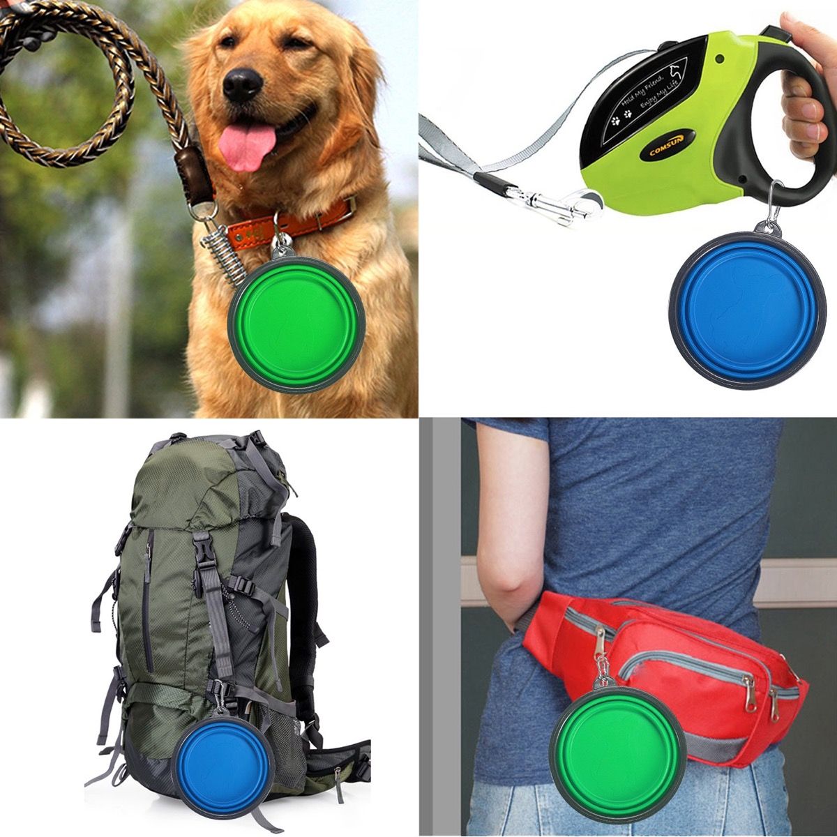 Fun dog outlet accessories