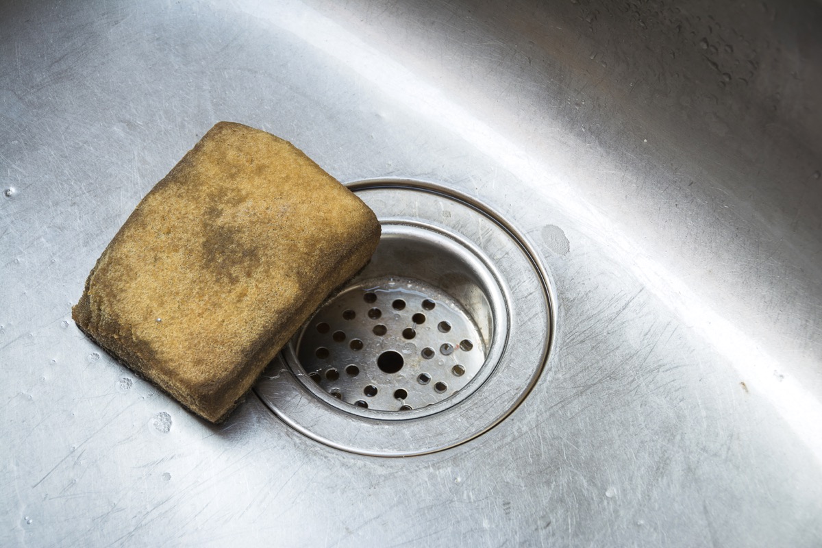 dirty sponge in sink