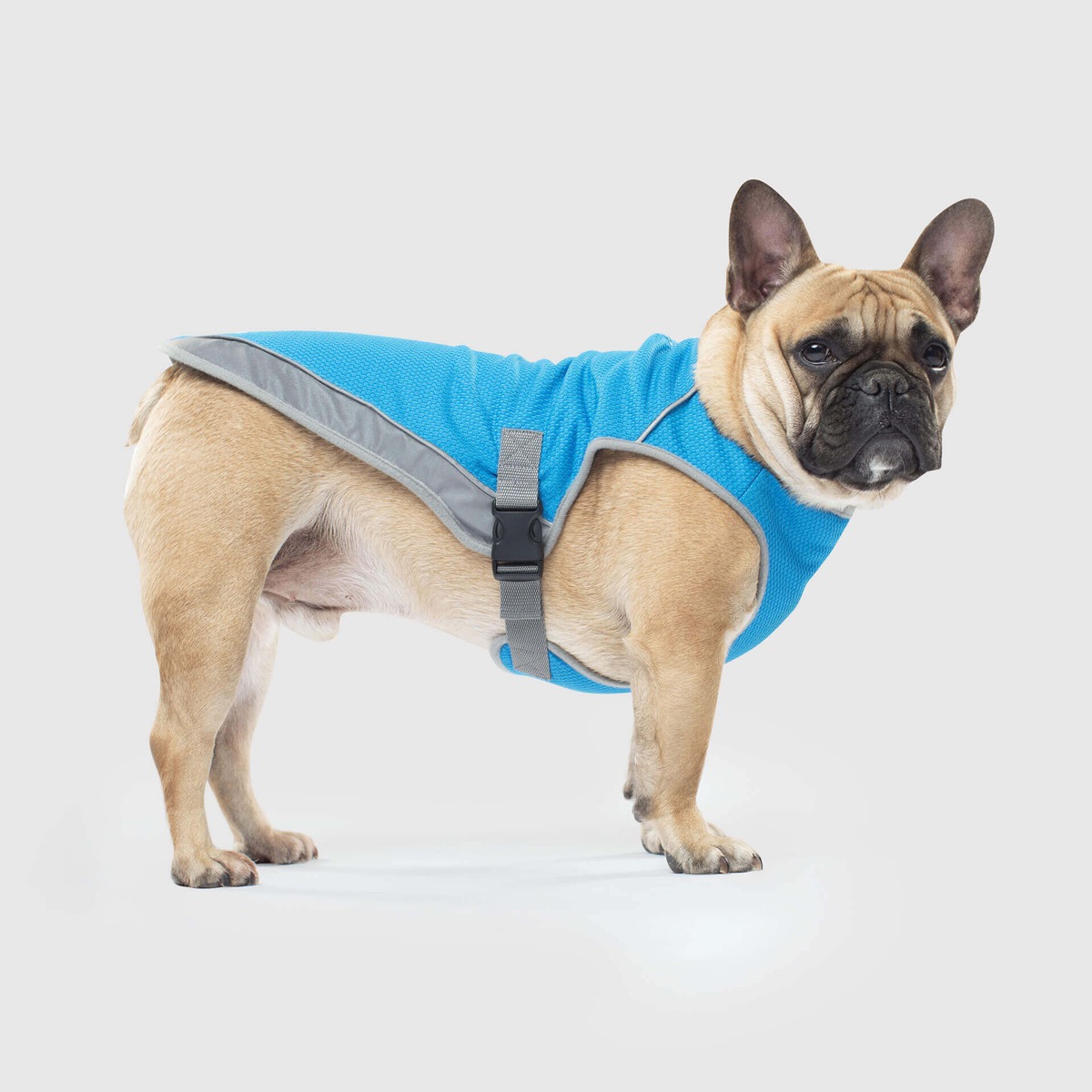 Canada Pooch Dog Cooling Vest Summer Pet Accessories