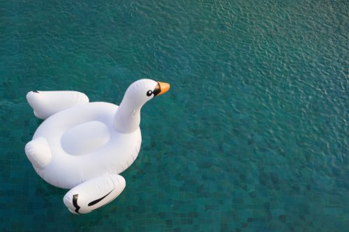 inflatable pool toy, swan in a pool