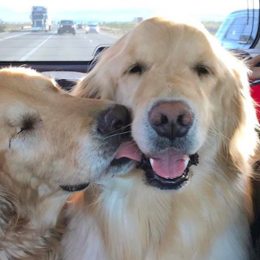 jake the blind dog with his best friend addie