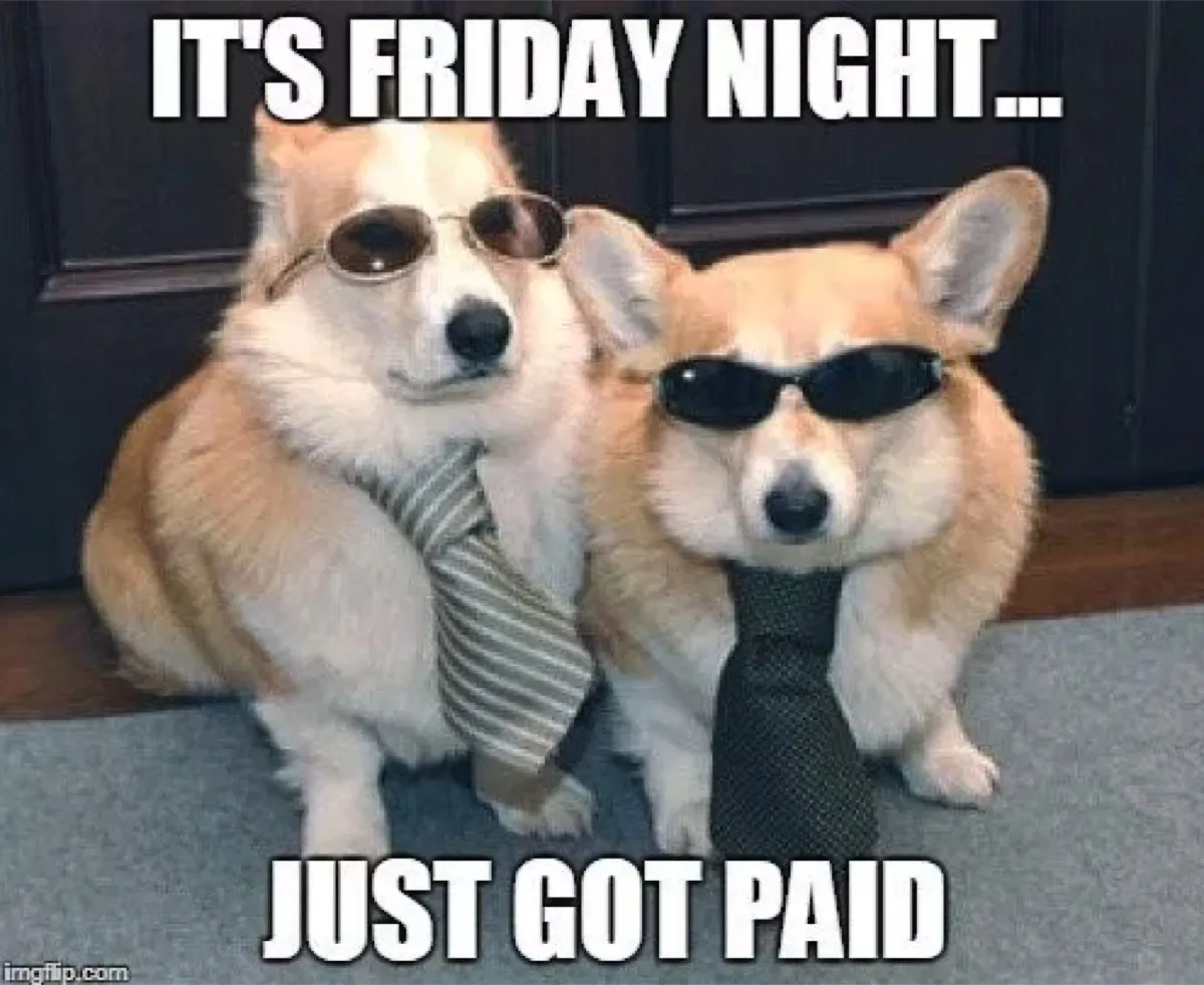 just got paid dogs friday memes