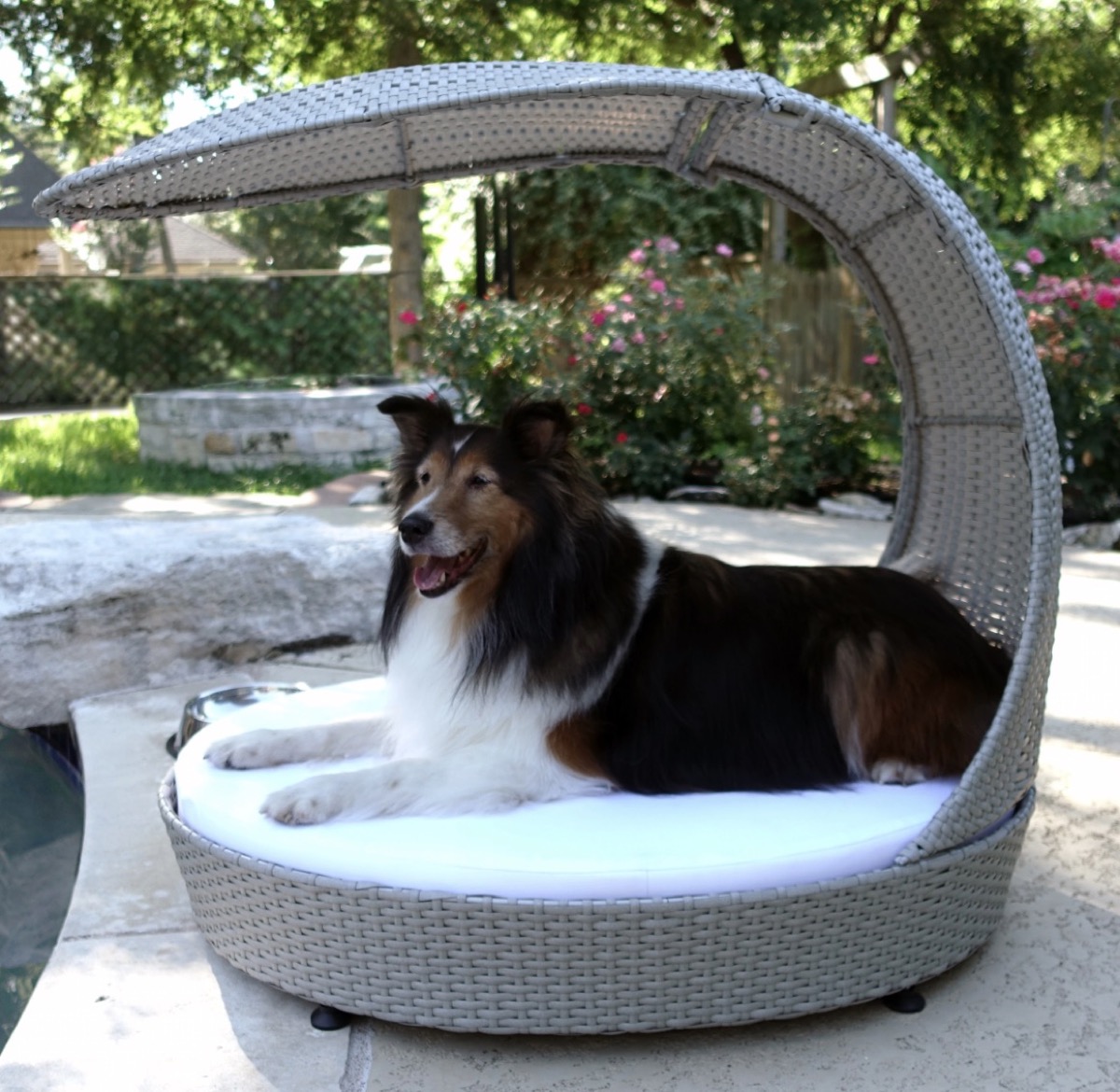 Outdoor Chaise Lounger Summer Pet Accessories