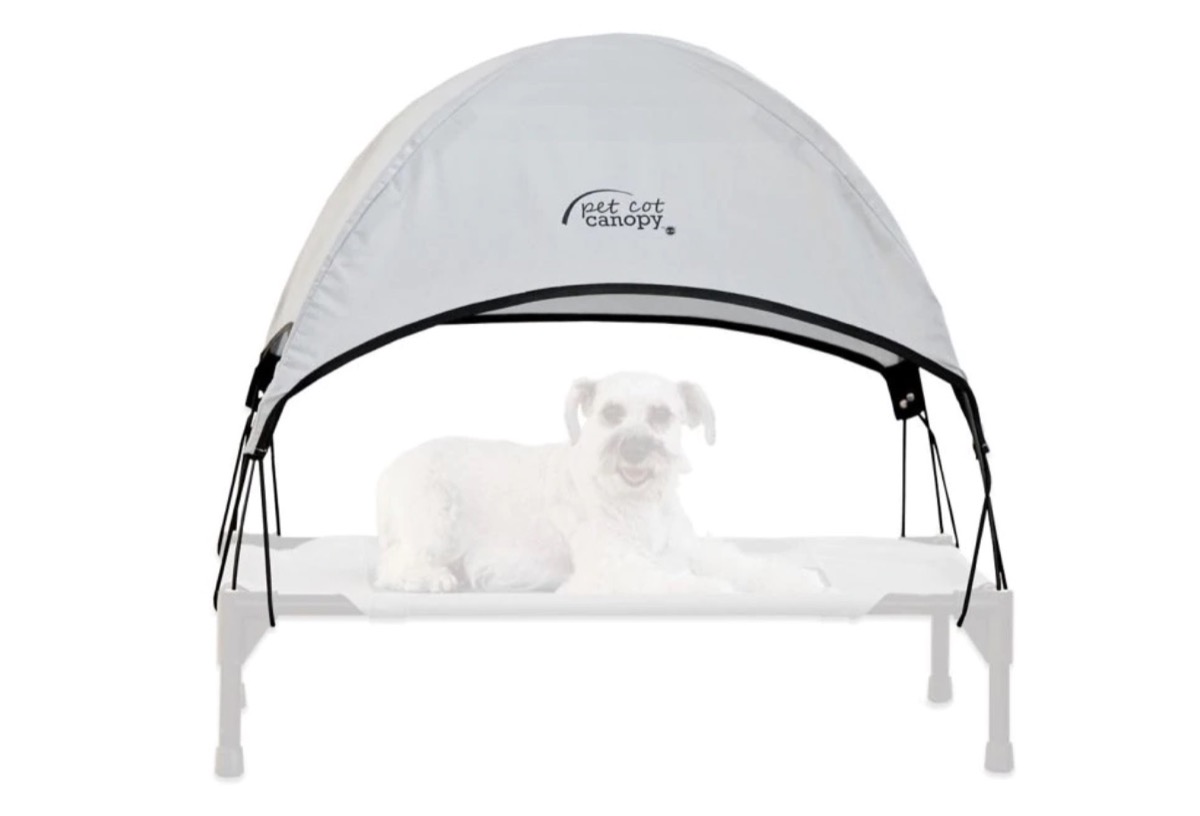 Pet Canopy Bed Summer Pet Accessories