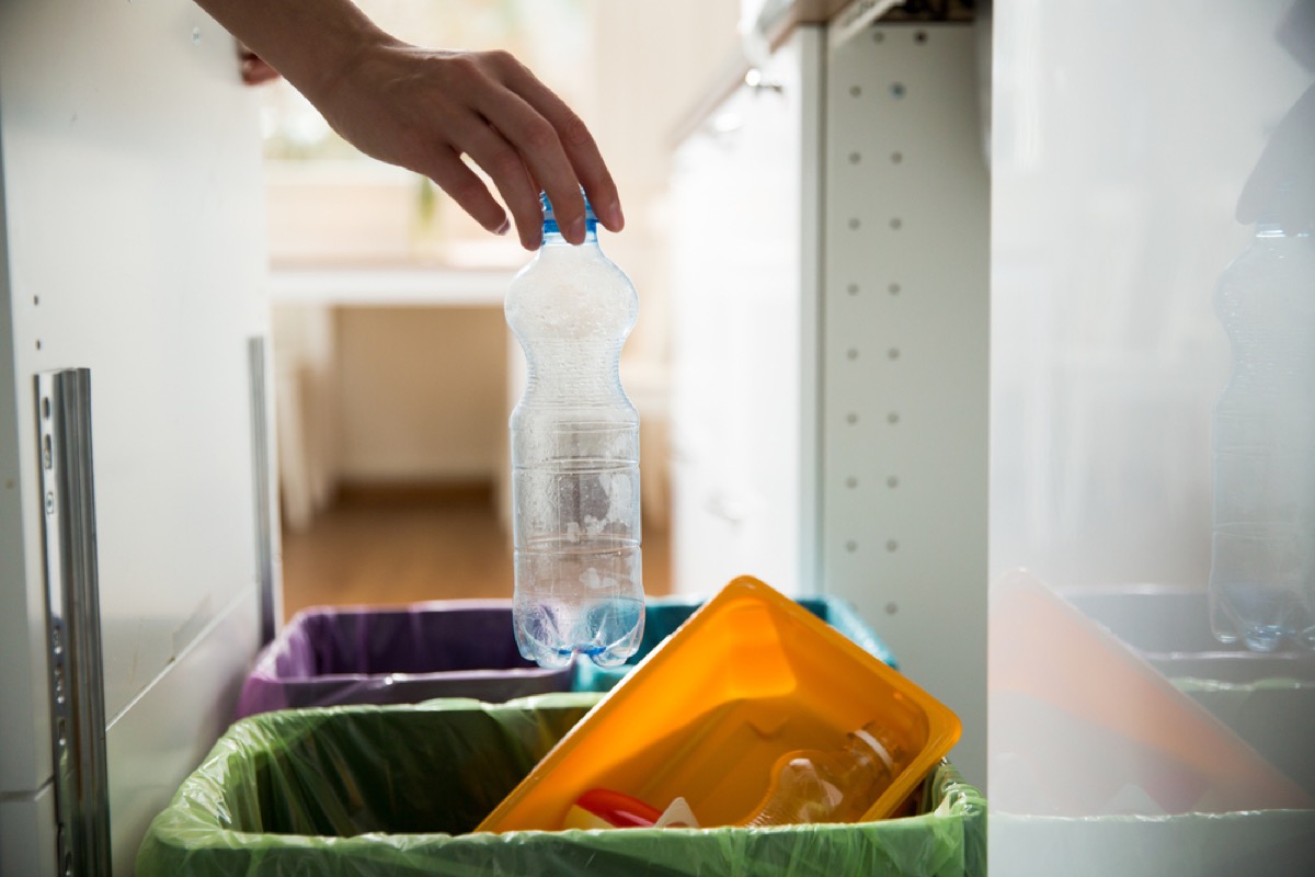 woman recycling bottle things in your house attracting pests