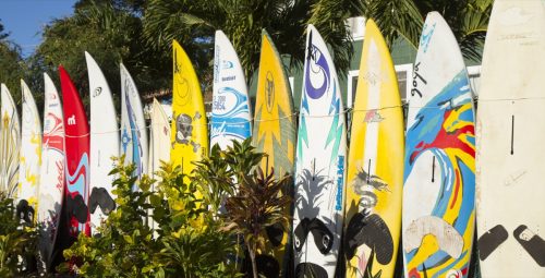 surfboard fence in hawaii