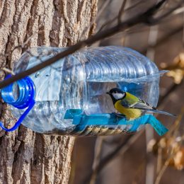 A Water Bottle Bird Feeder Reuse Disposable Items
