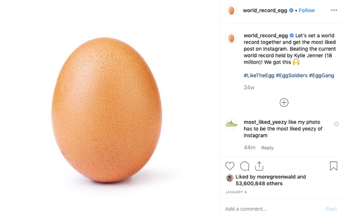 world record egg, 2019 memes
