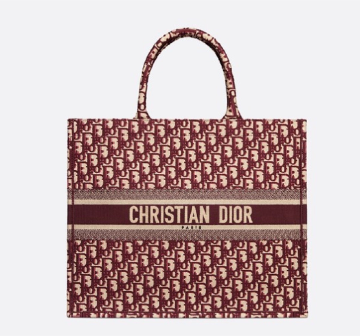 red dior tote, luxury beach bags