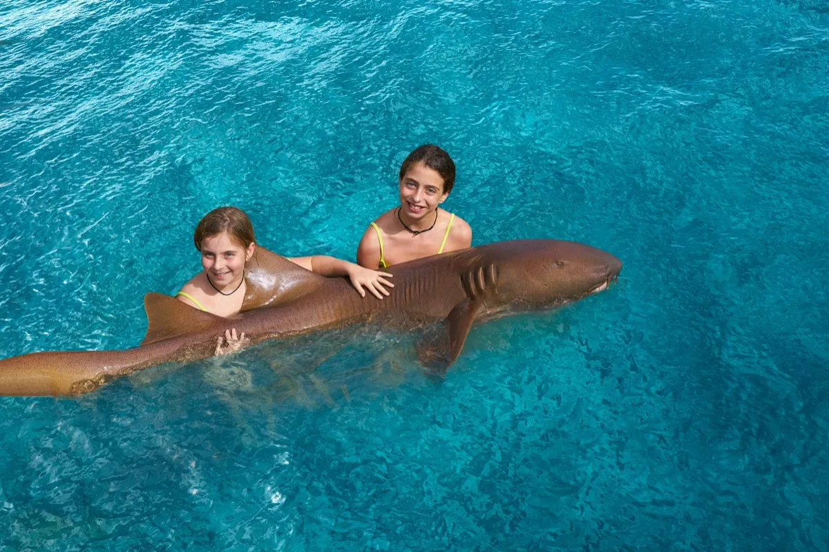Two sisters hold nurse shark in water