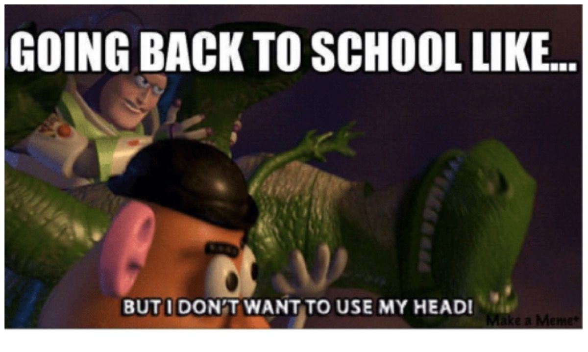 40 School Memes Every Student Will Appreciate Funny School Memes