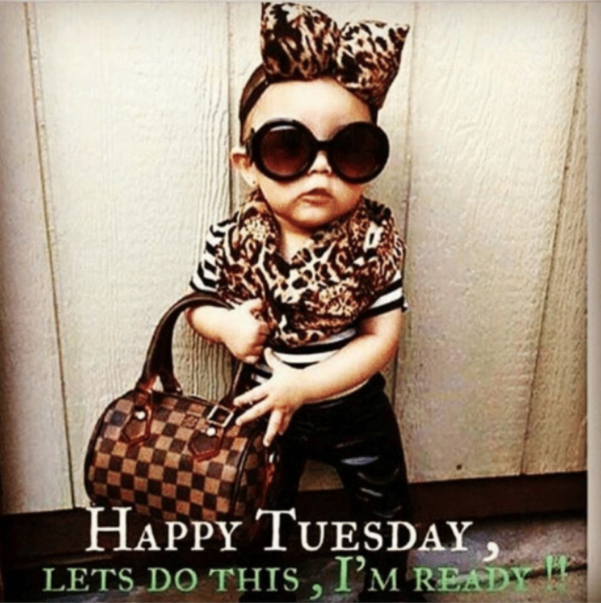 Happy Tuesday Images Funny Mrstolisano