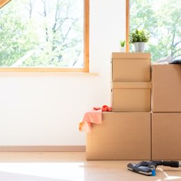 cardboard storage boxes in attic