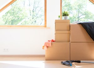 cardboard storage boxes in attic