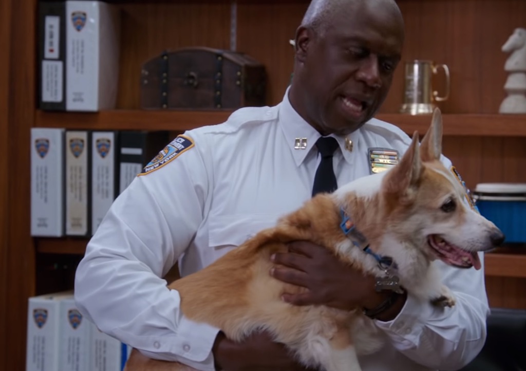 stewart, who plays cheddar on brooklyn nine nine, has died