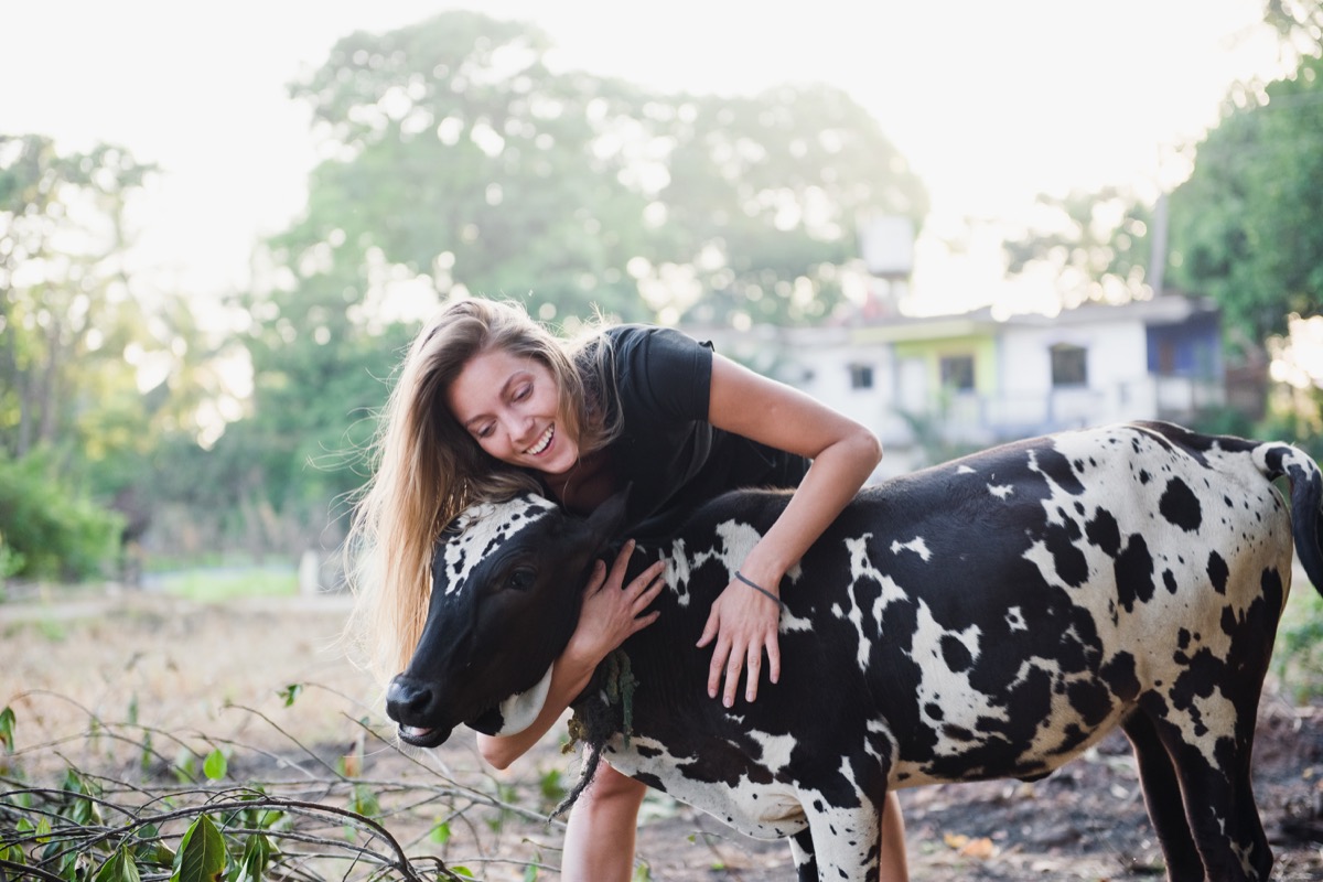 Woman hugging a cow