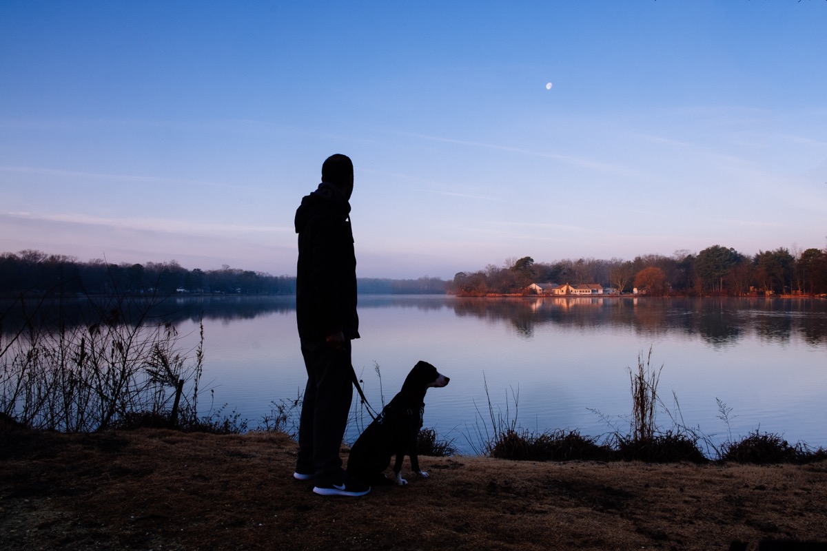 dog and owner at night things you never knew dogs could do