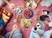 people eating lunch on a gingham picnic blanket, picnic essentials