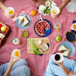 people eating lunch on a gingham picnic blanket, picnic essentials