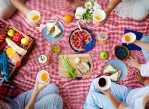 people eating lunch on a gingham picnic blanket, picnic essentials