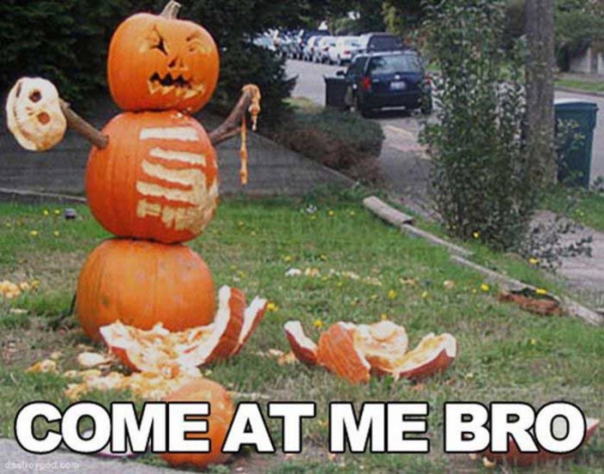 31 Funny Halloween Memes That Are Hilariously Spooky