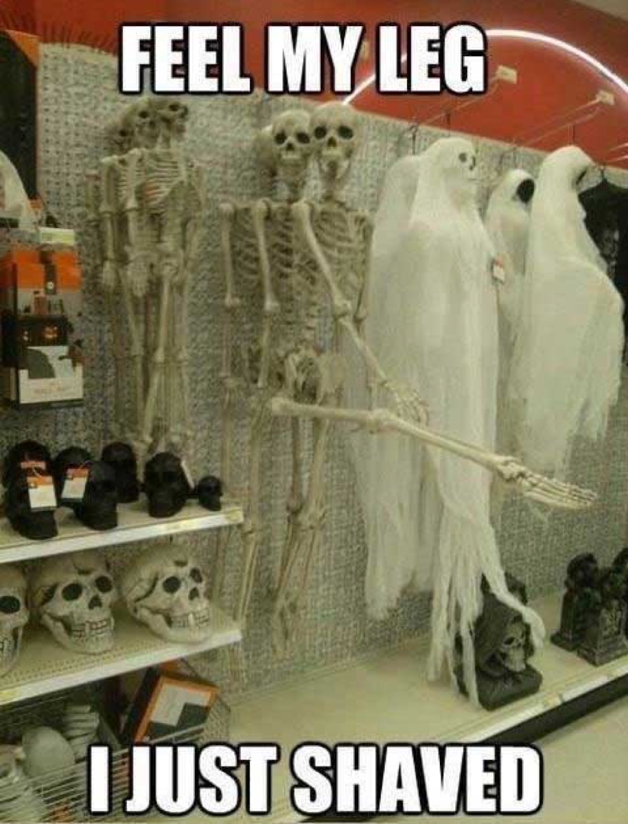 skeleton, halloween memes
