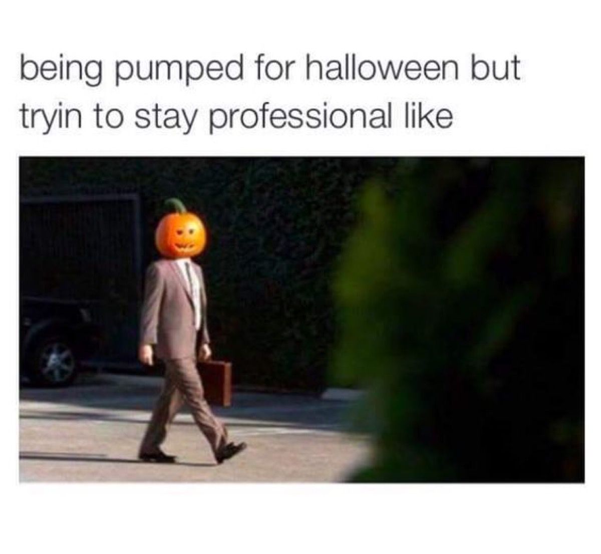 35 Funny Halloween Memes Best Halloween Joke Images