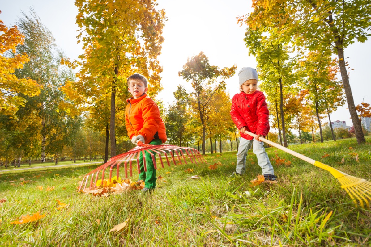 two young white children in red coats raking leaves
